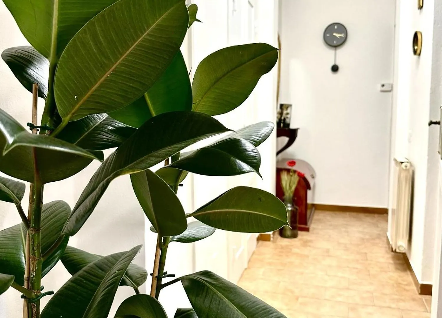 Casa Ganza Villa Pisa 0*,  Olaszország